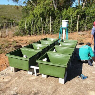 Over-sized Tree Bin Growing Kit