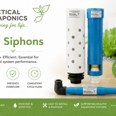 PA SA Bell Siphon